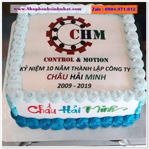 Bánh Sinh Nhật Công Ty - IT100